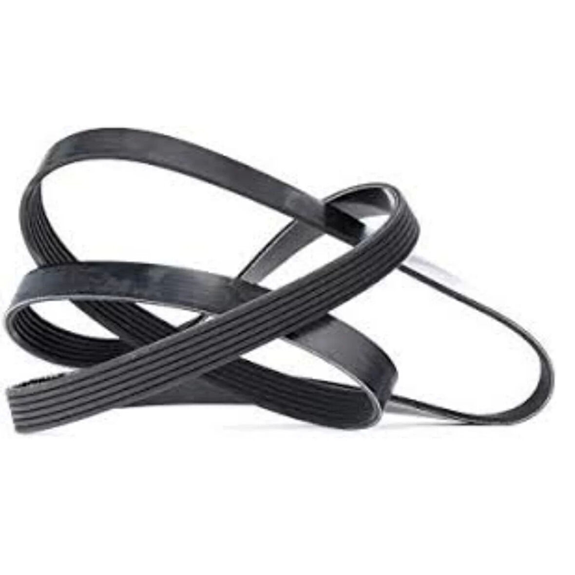 V Kayışı- 6PK1565 Wisco-Nemo Xsara Fıorıno Bıpper Partner Uyumlu