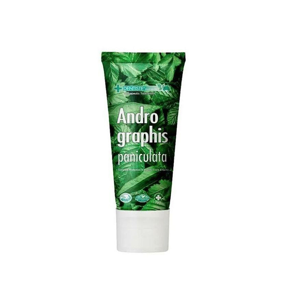 Dentiste AndroGraphis Paniculata Toothpaste 40ml - Diş Macunu