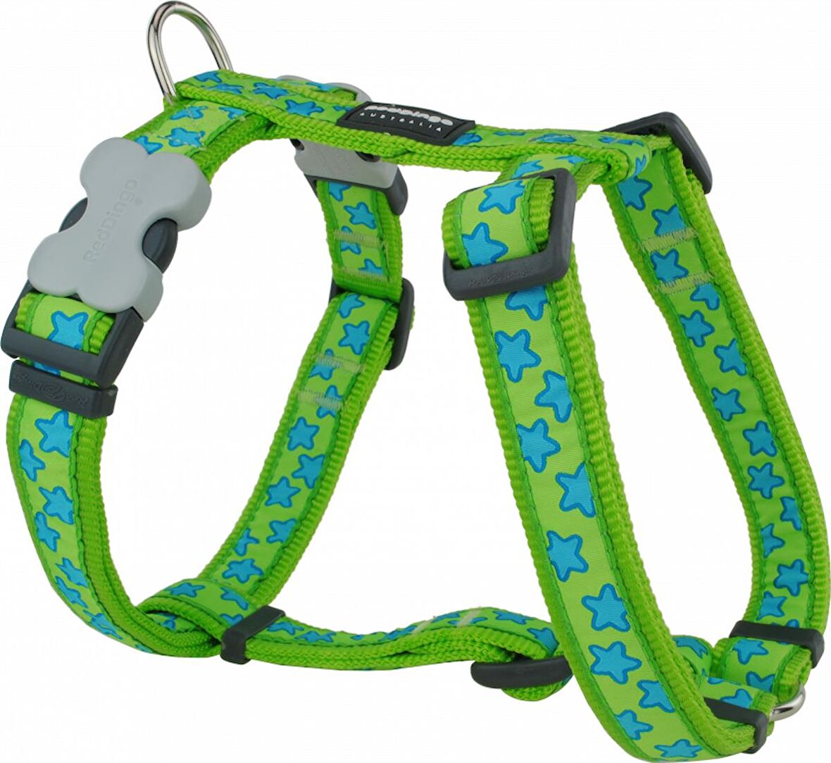 REDDİNGO LİME ÜZERİNE TURKUAZ YILDIZLI KÖPEK GÖĞÜS TASMASI L /25MM