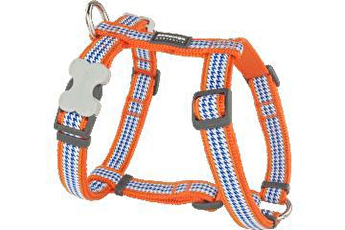 Red Dıngo Fang It Desenlı Turuncu Kopek Gogus Tasması 15Mm