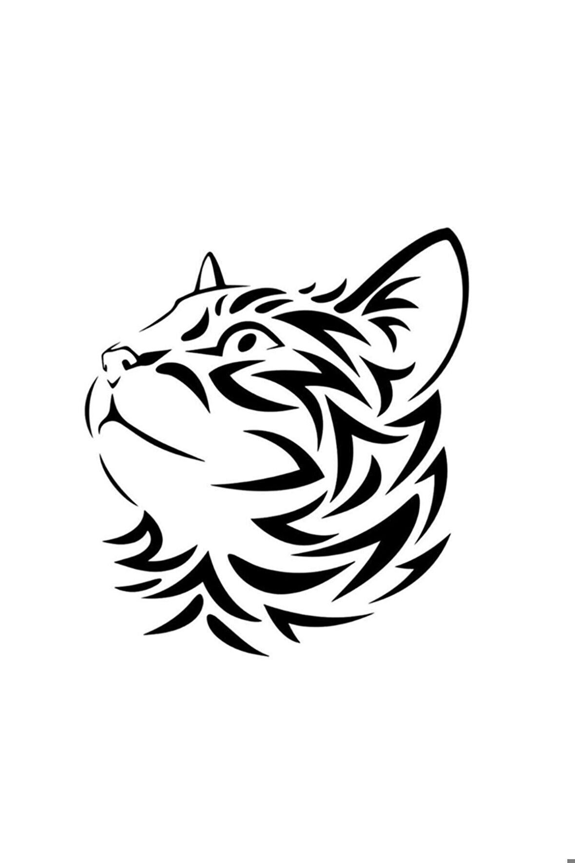 Hırçın Kedi Oto Motor Laptop Duvar Folyo Sticker 100 x 110