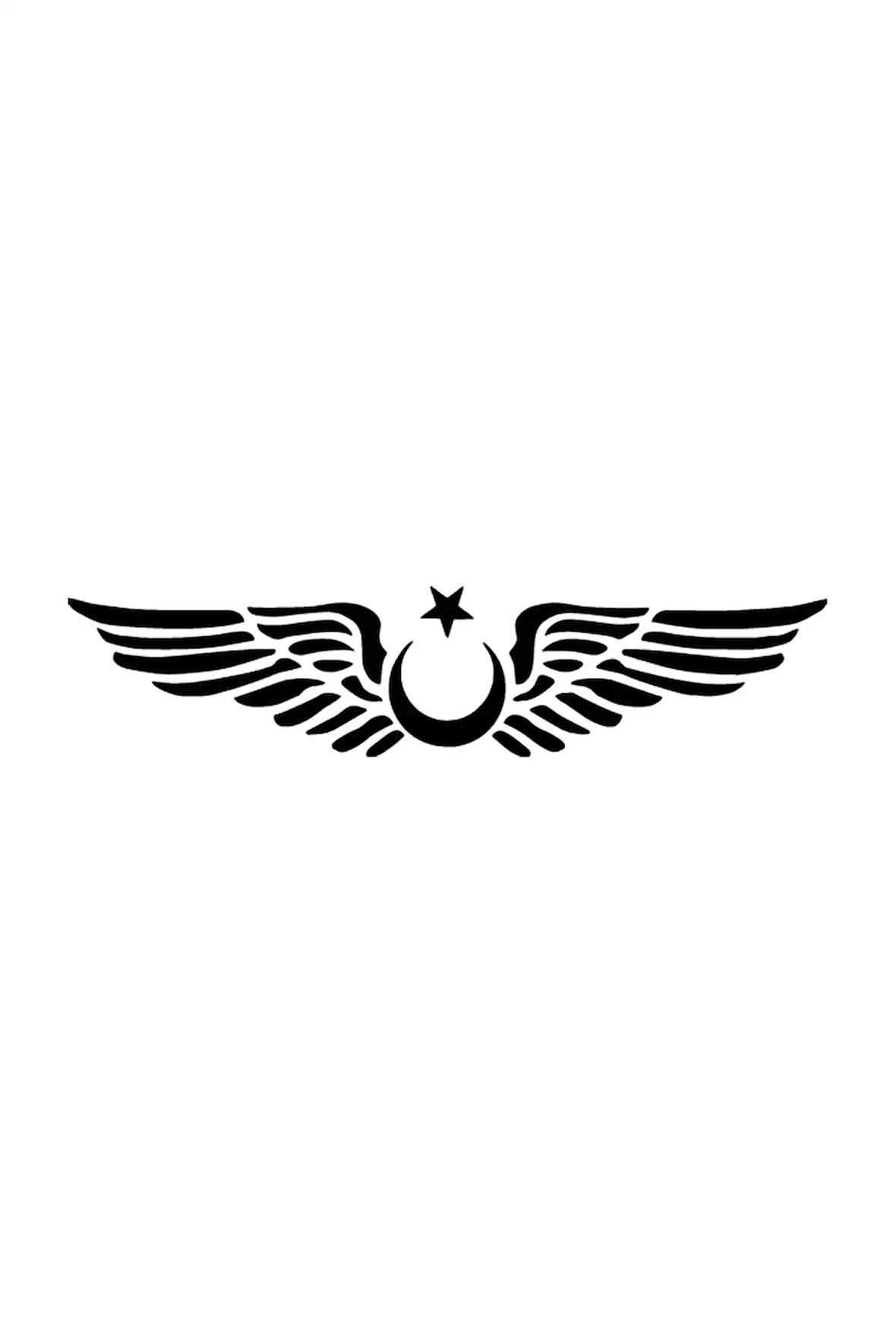 Kanatlı Ay Yıldız Sticker (Oto-Motor-Laptop-Duvar-Dekor) 20 x 4 cm