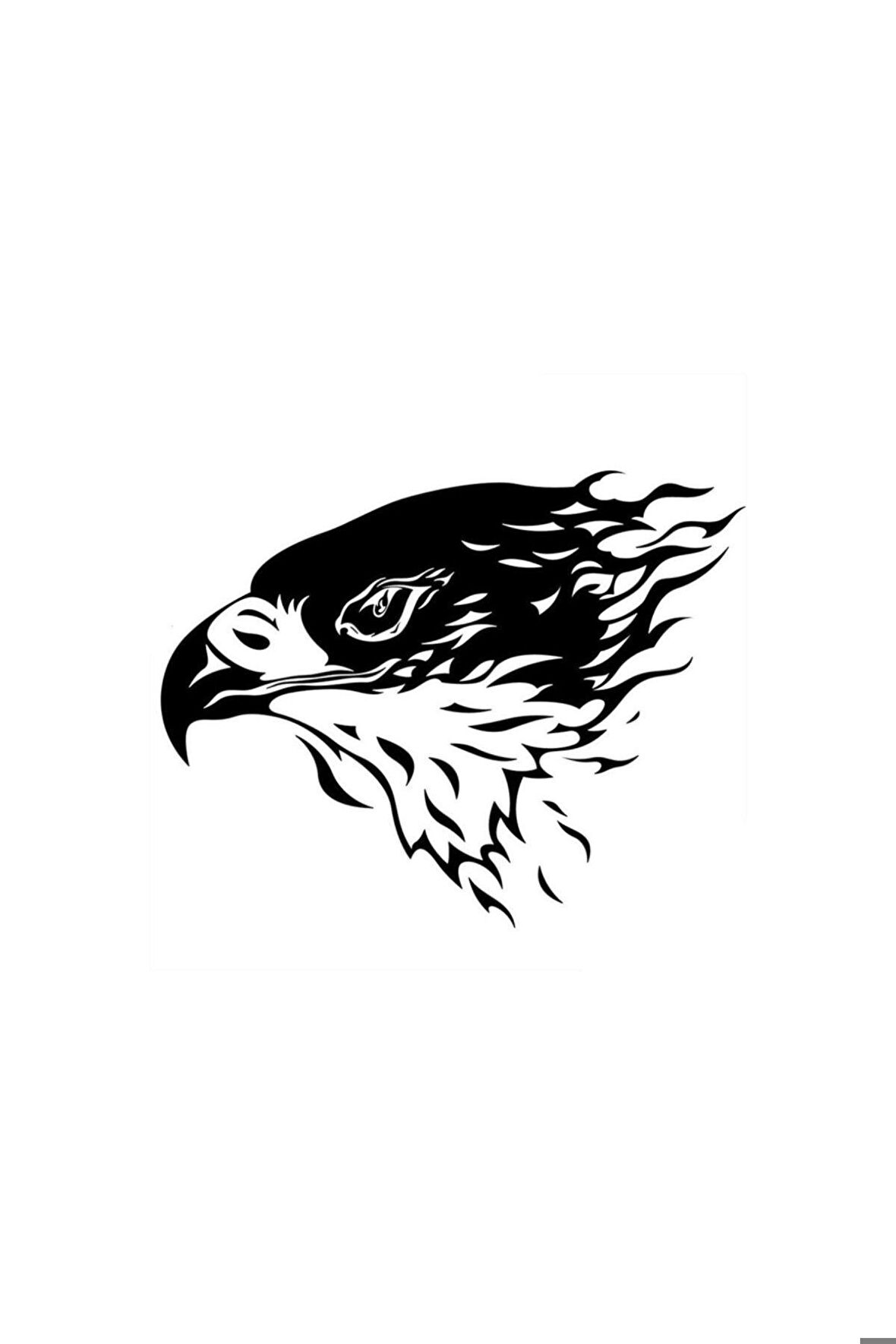 Siyah Kartal Oto Motor Laptop Duvar Folyo Sticker 10 x 7