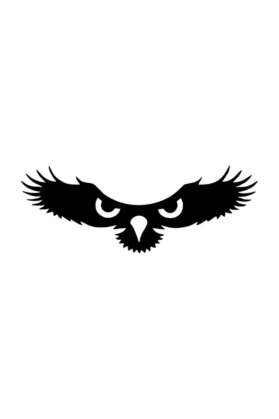Kartalın Gözleri Oto Sticker Siyah 25 x 10 cm