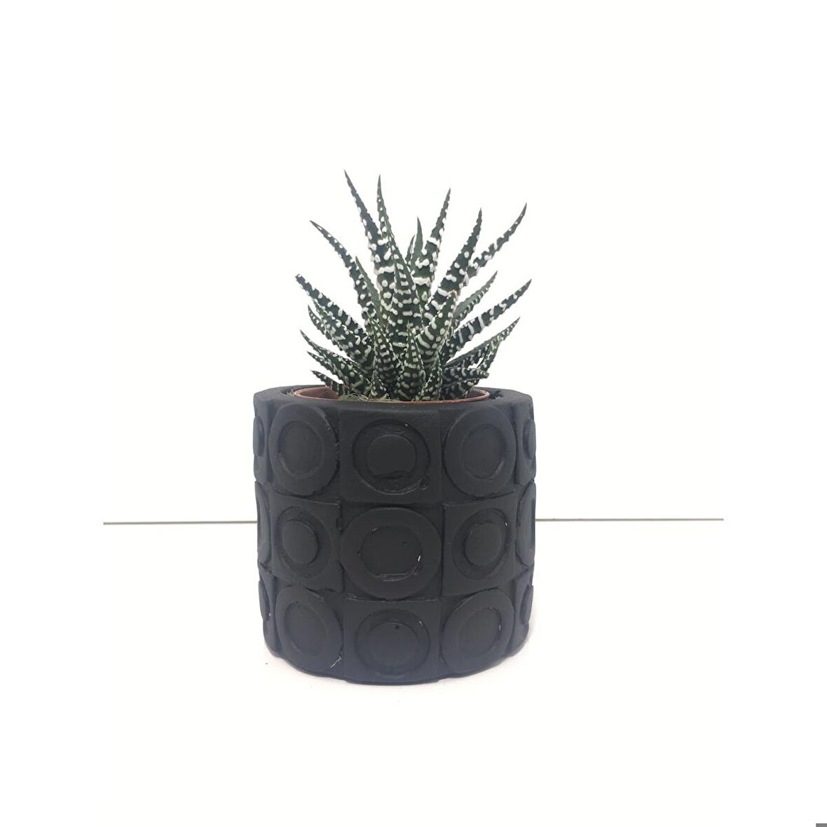 Oval Desenli Beton Saksı ve Canlı Sukulent - YE1602