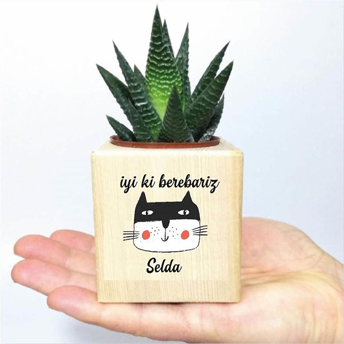 Kişiye Özel Kedi Tasarımlı Ahşap Küp Saksıda Sukulent