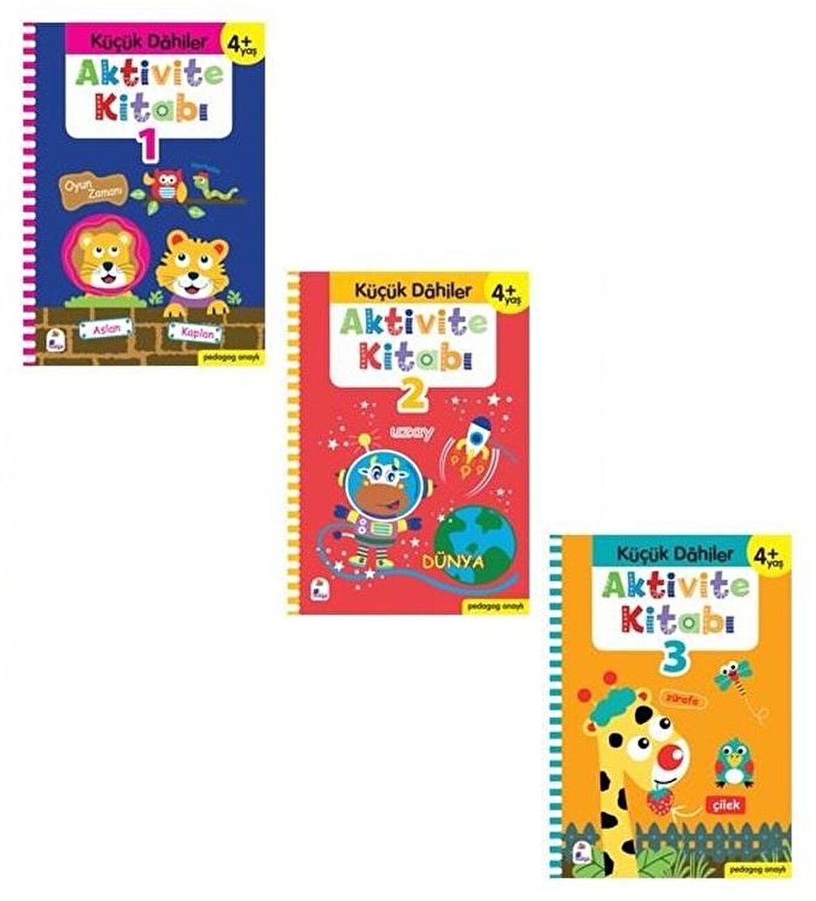 Küçük Dahiler Aktivite Seti 3 Kitap ( 4+ Yaş )