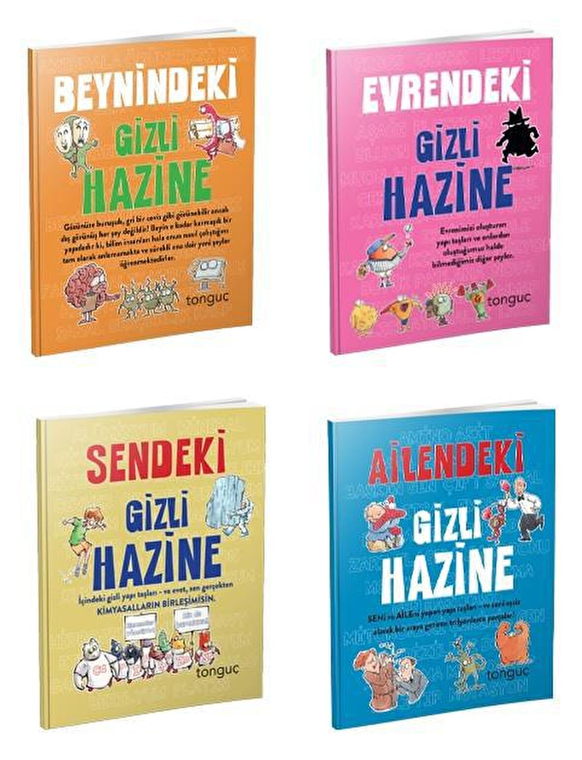 Tonguç Gizli Hazine Serisi 4 Kitap Set