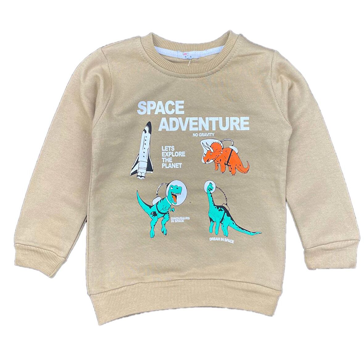 Erkek Bebek 2 İplik Şardonlu Sweatshirt Dinozor Baskılı