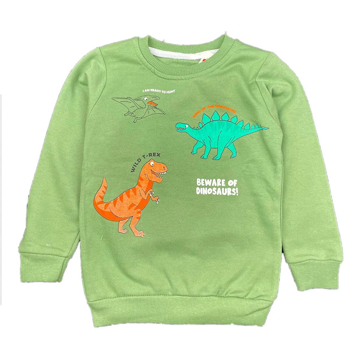 Erkek Bebek 2 İplik Şardonlu Sweatshirt Dinozor Baskılı