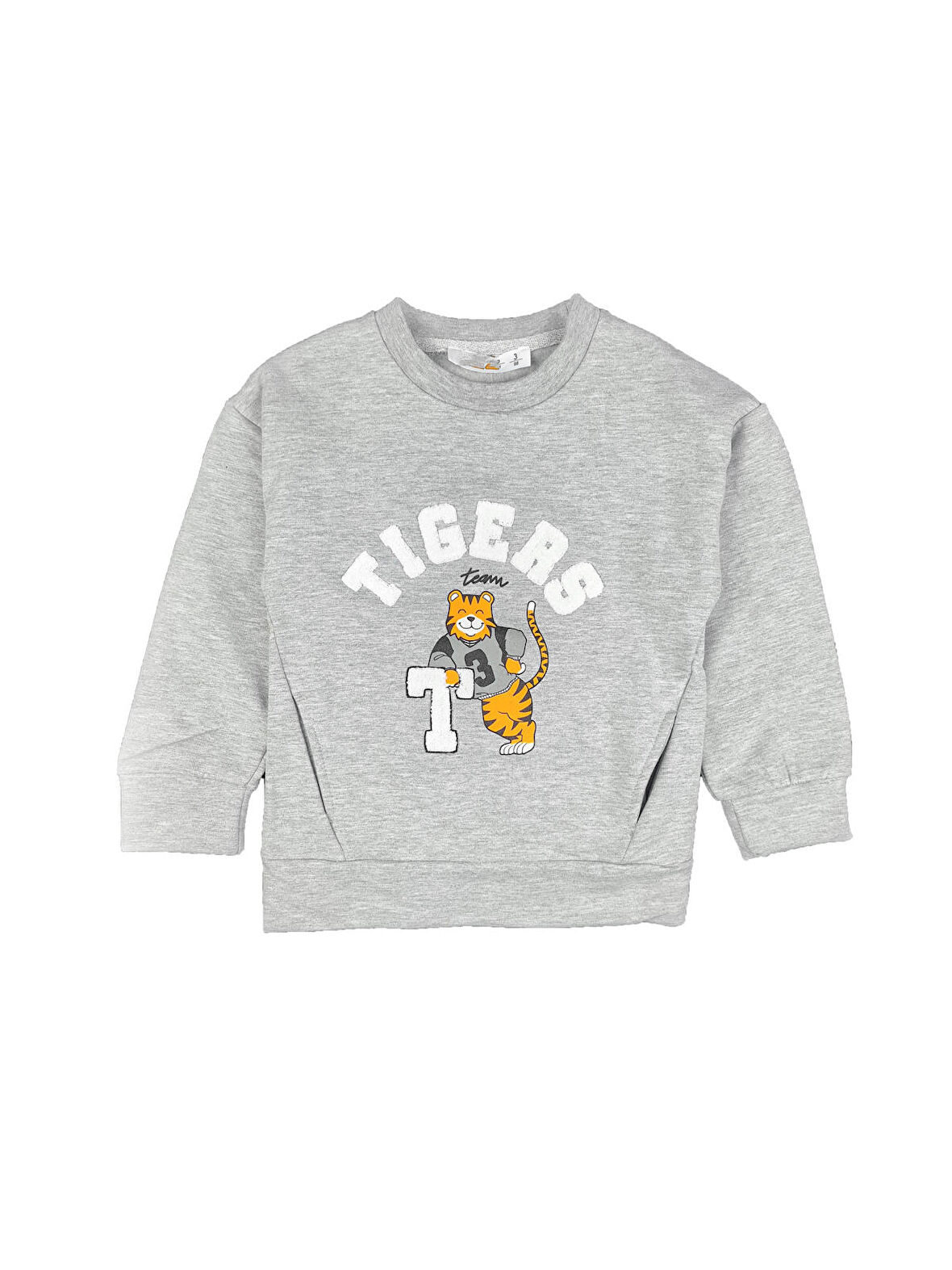 Erkek Çocuk Aslan Baskı Nakışlı Sweatshirt Tigers