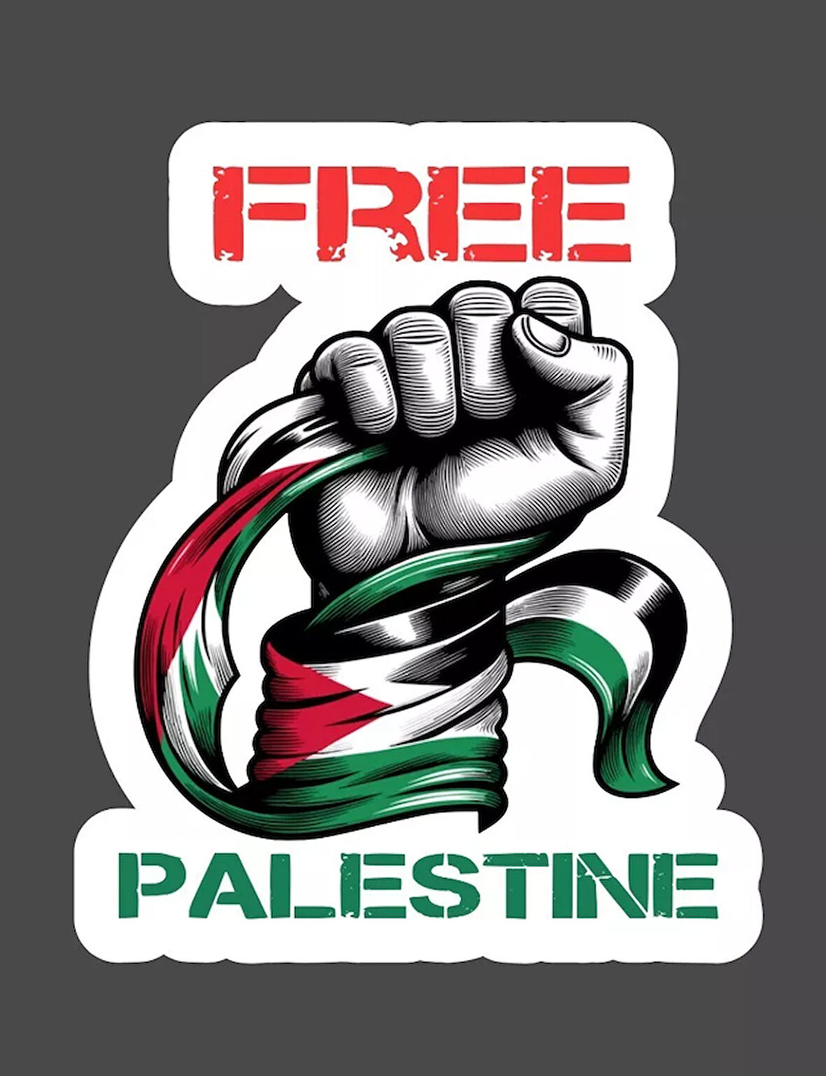 Free Palestine Araba oto Sticker 19 Cm