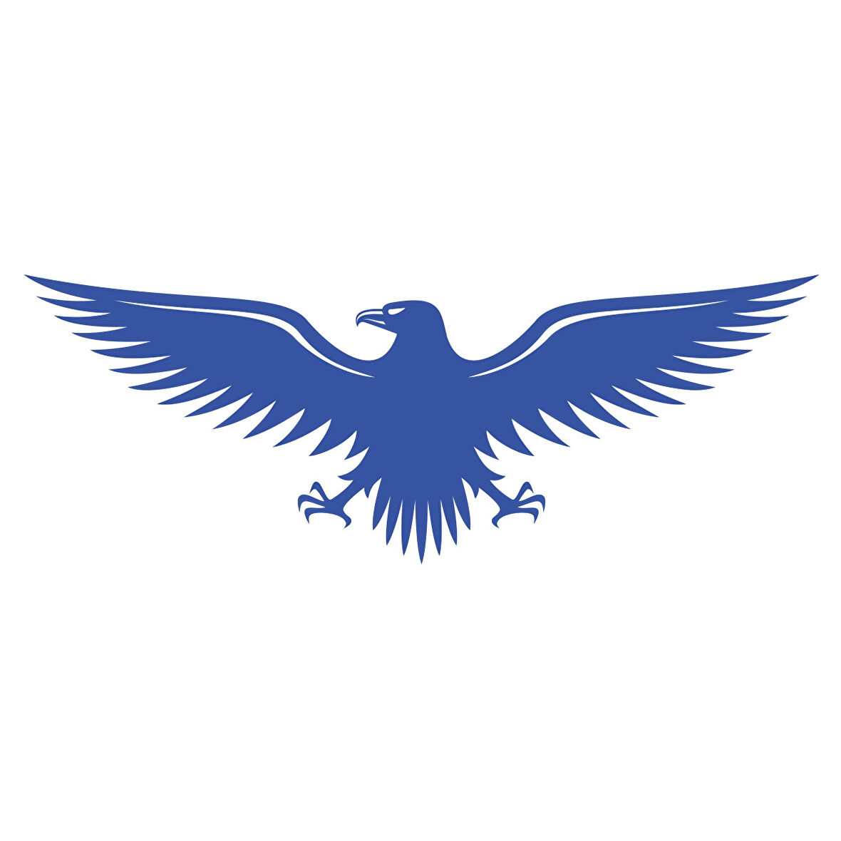 Kartal Sticker17x17 Cm Mavi