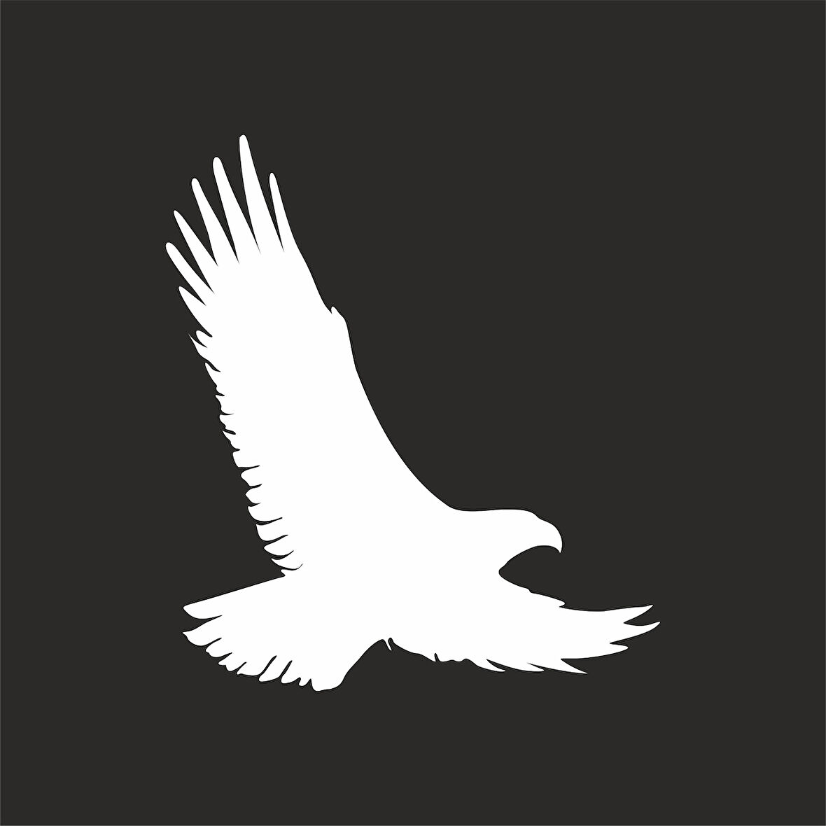 Uçan Kartal Sticker17x17 Cm Beyaz