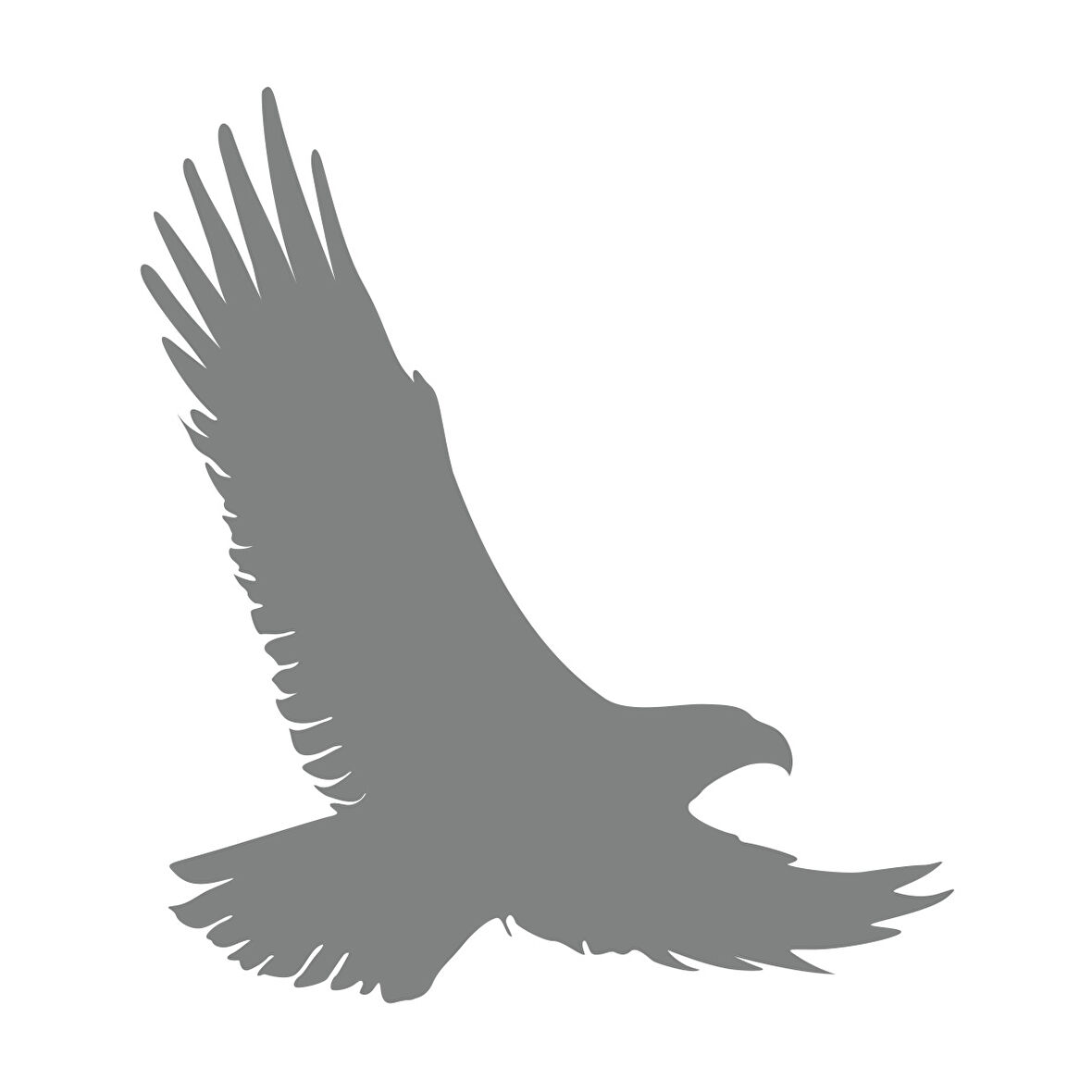 Uçan Kartal Sticker17x17 Cm Gri