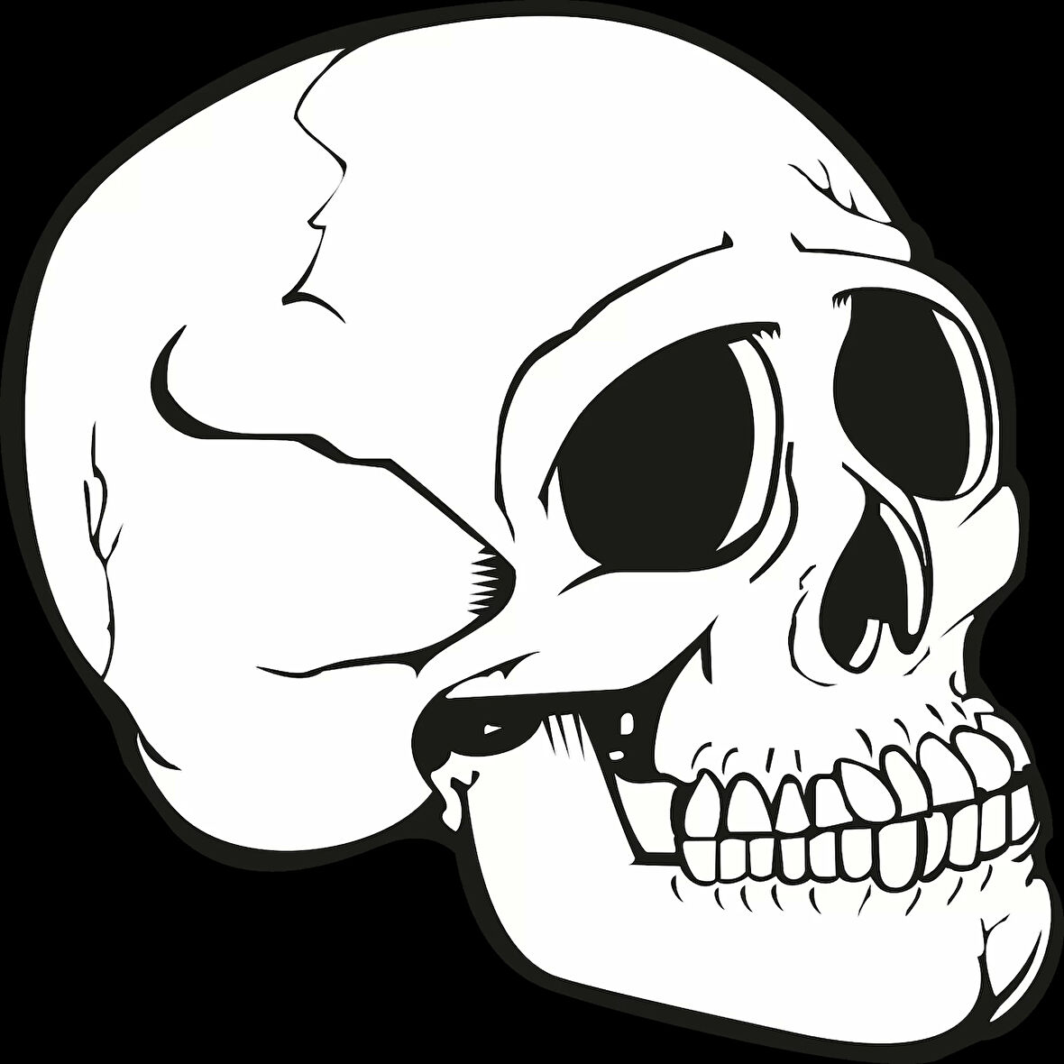 iskelet Sticker 10x10 cmRenkli Sticker