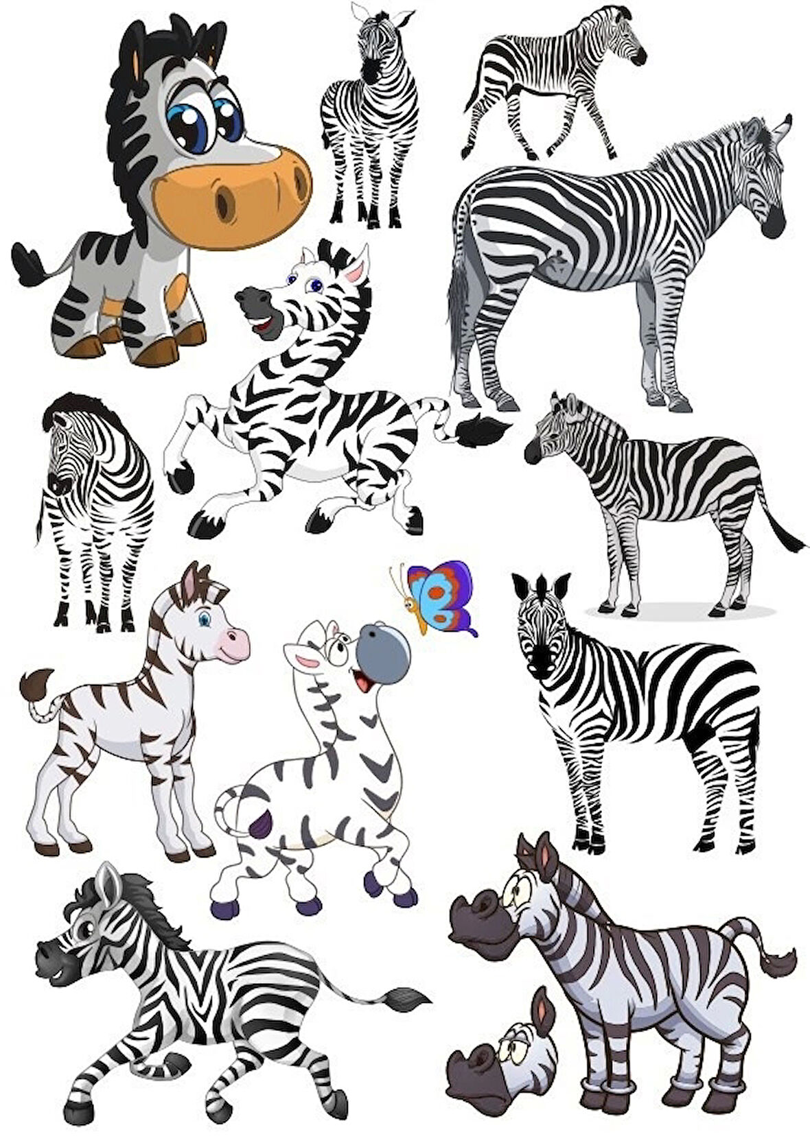 Zebra Sticker Set-1 13 Parça Telefon, Tablet, Defter, Laptop Sticker