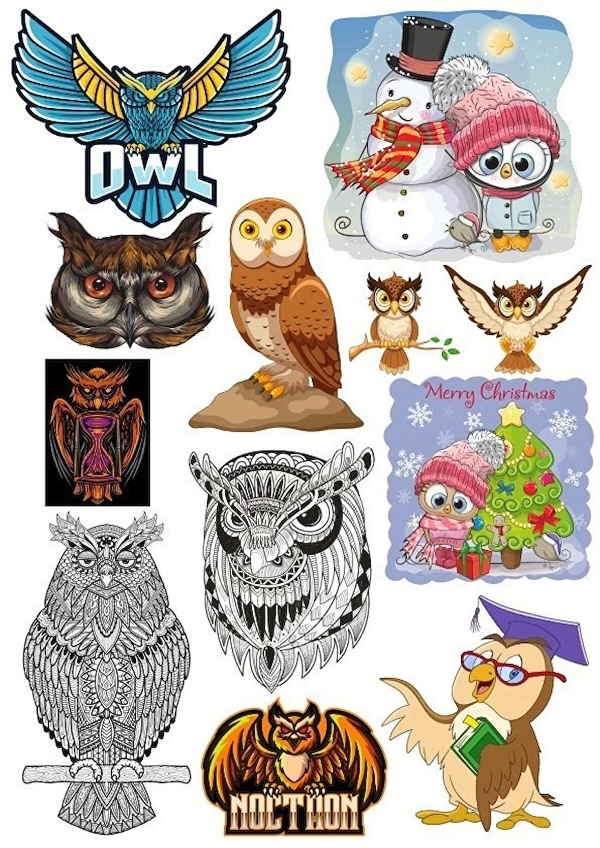 Baykuş Owl Sticker Set 11 Parça Telefon, Tablet, Defter, Laptop Sticker