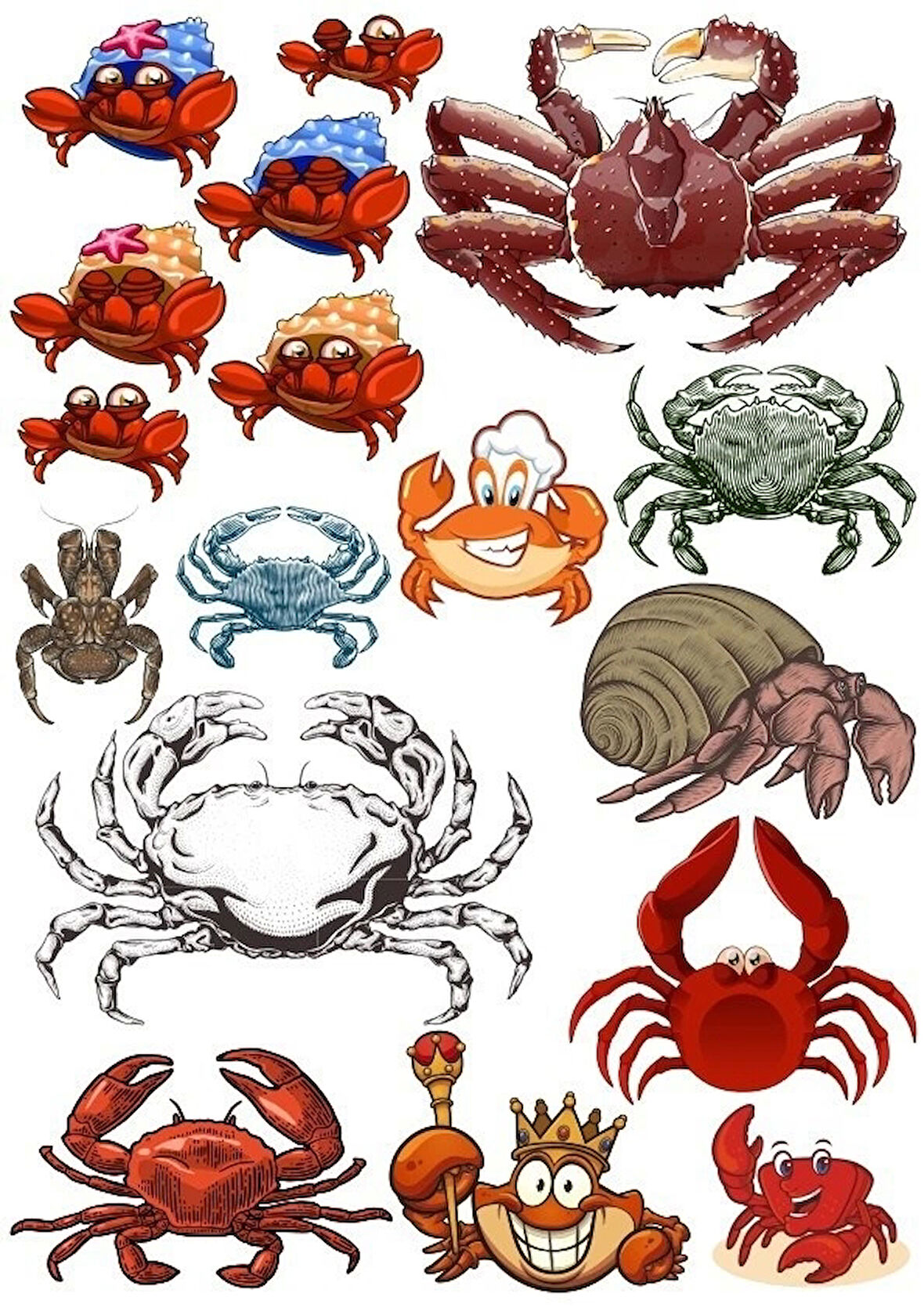 Yengeç Sticker Set 15 Parça Telefon, Tablet, Defter, Laptop Sticker