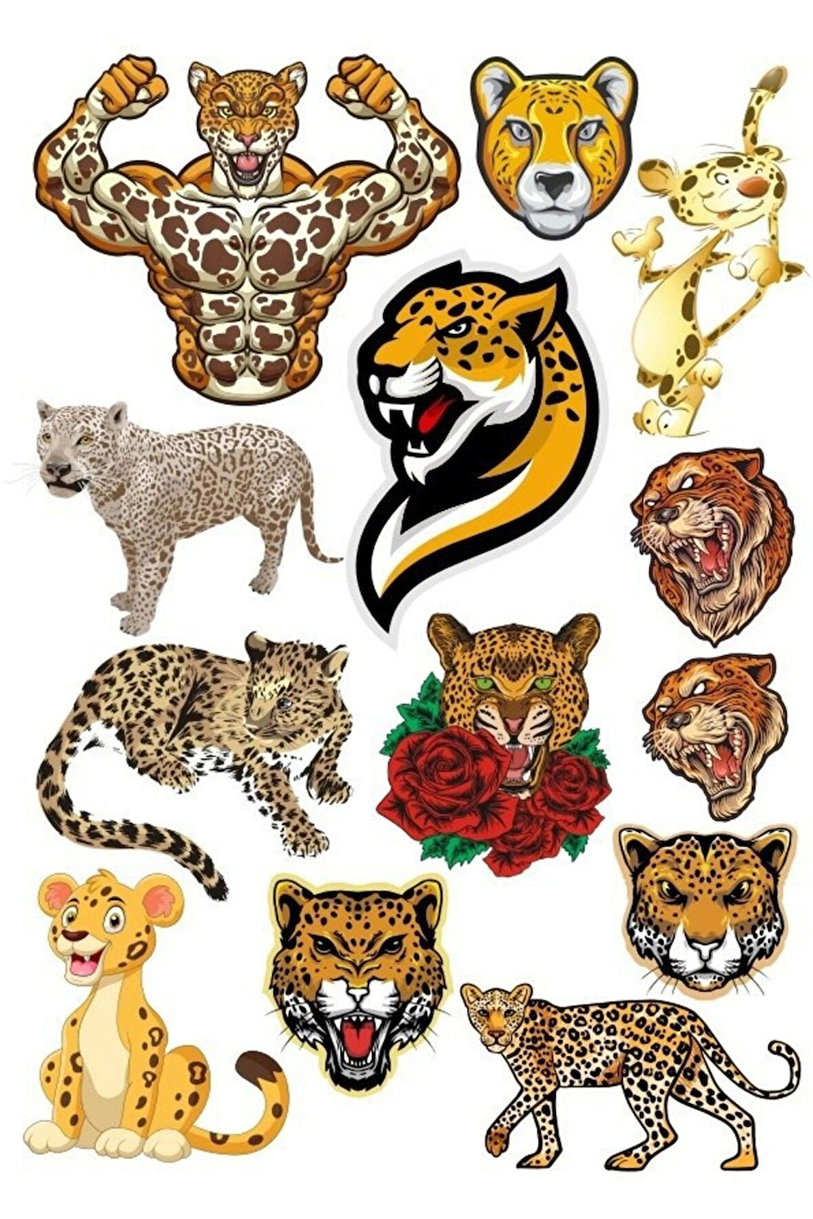 Kaplan Sticker Set-5 15 Parça Telefon, Tablet, Defter, Laptop Sticker