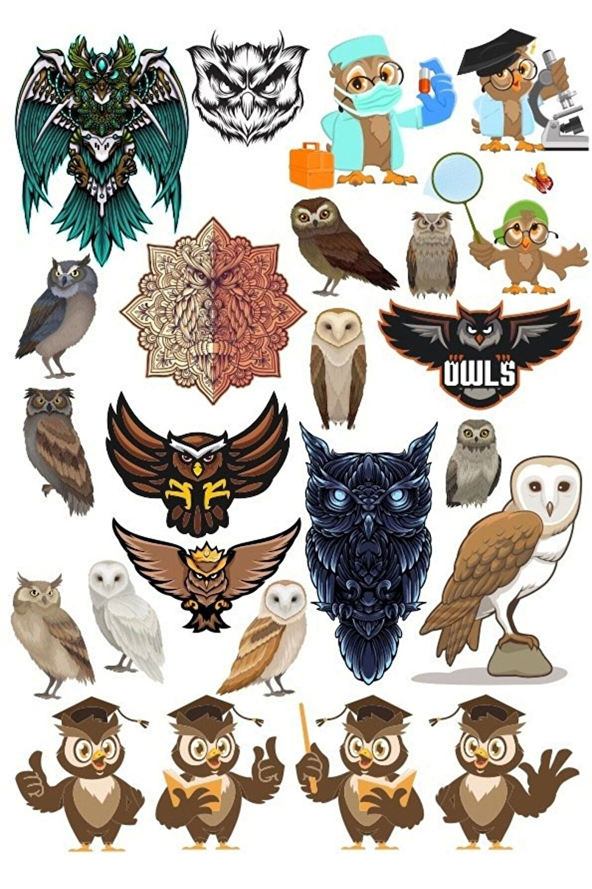 Baykuş OWL Sticker Set-16 16 Parça Telefon, Tablet, Defter, Laptop Sticker
