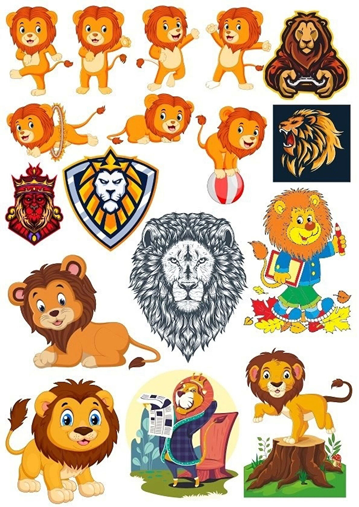 Aslan Sticker Set-17 17 Parça Telefon, Tablet, Defter, Laptop Sticker