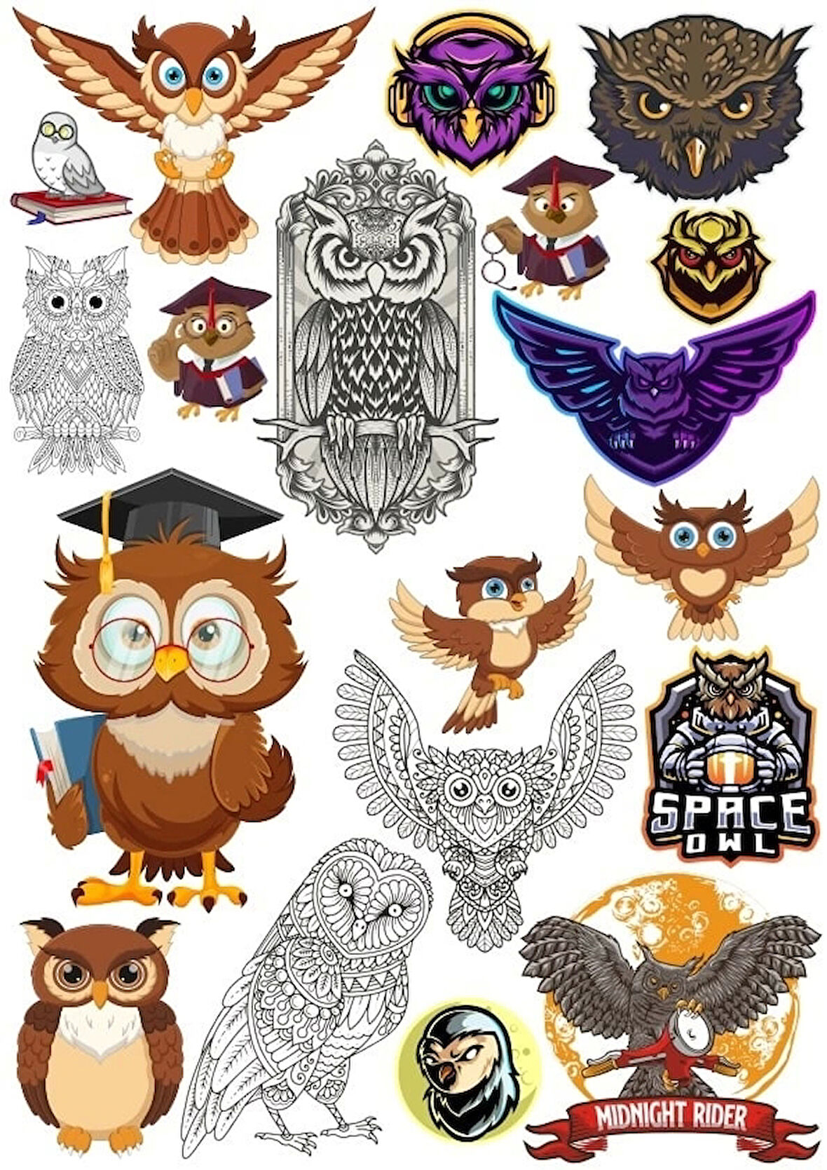 Baykuş Sticker Set 6 16 Parça Telefon, Tablet, Defter, Laptop Sticker