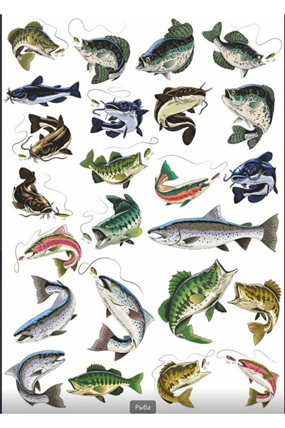 Balık ve Balıkçılık Sticker Set 3