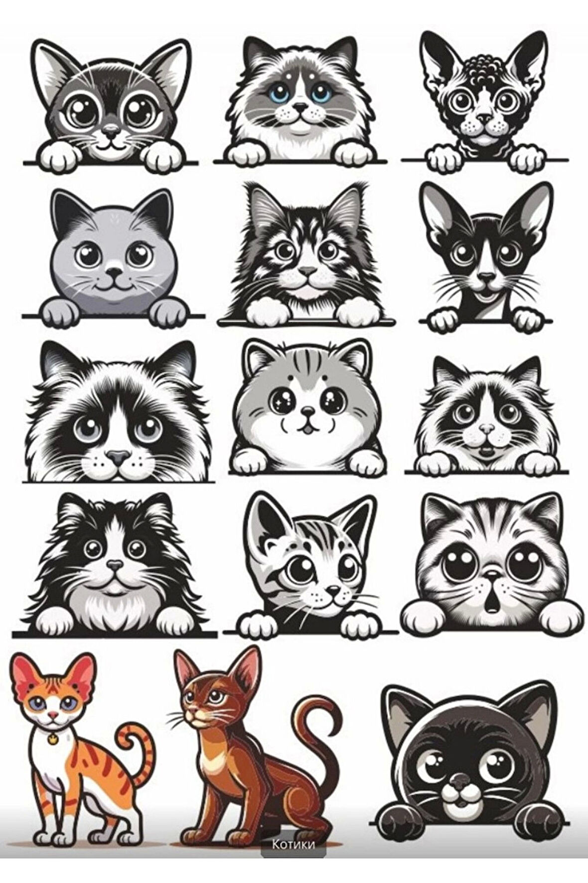 Siyah Beyaz Kediler Sticker Set 2