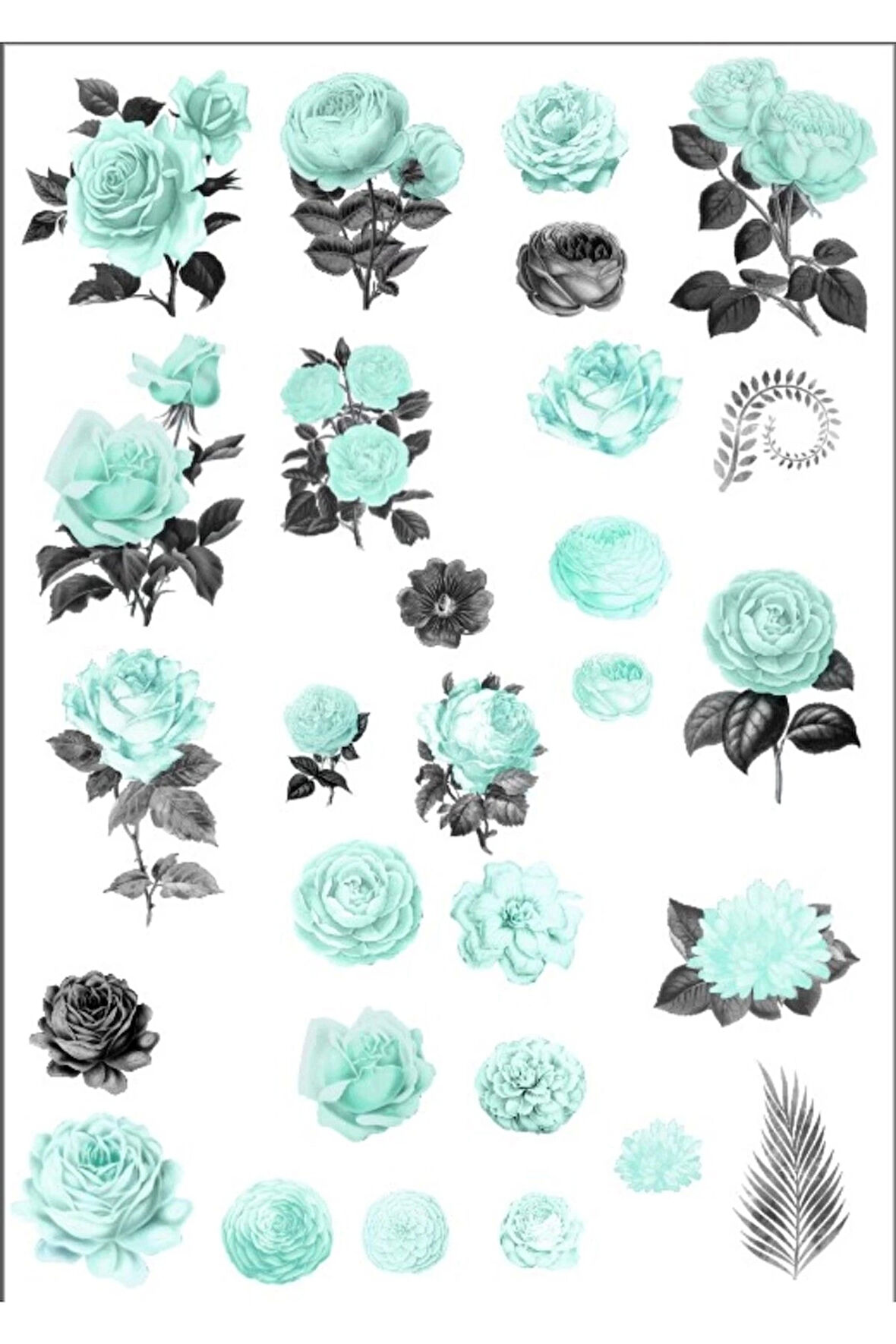 Mavi Güller Sticker Set 1