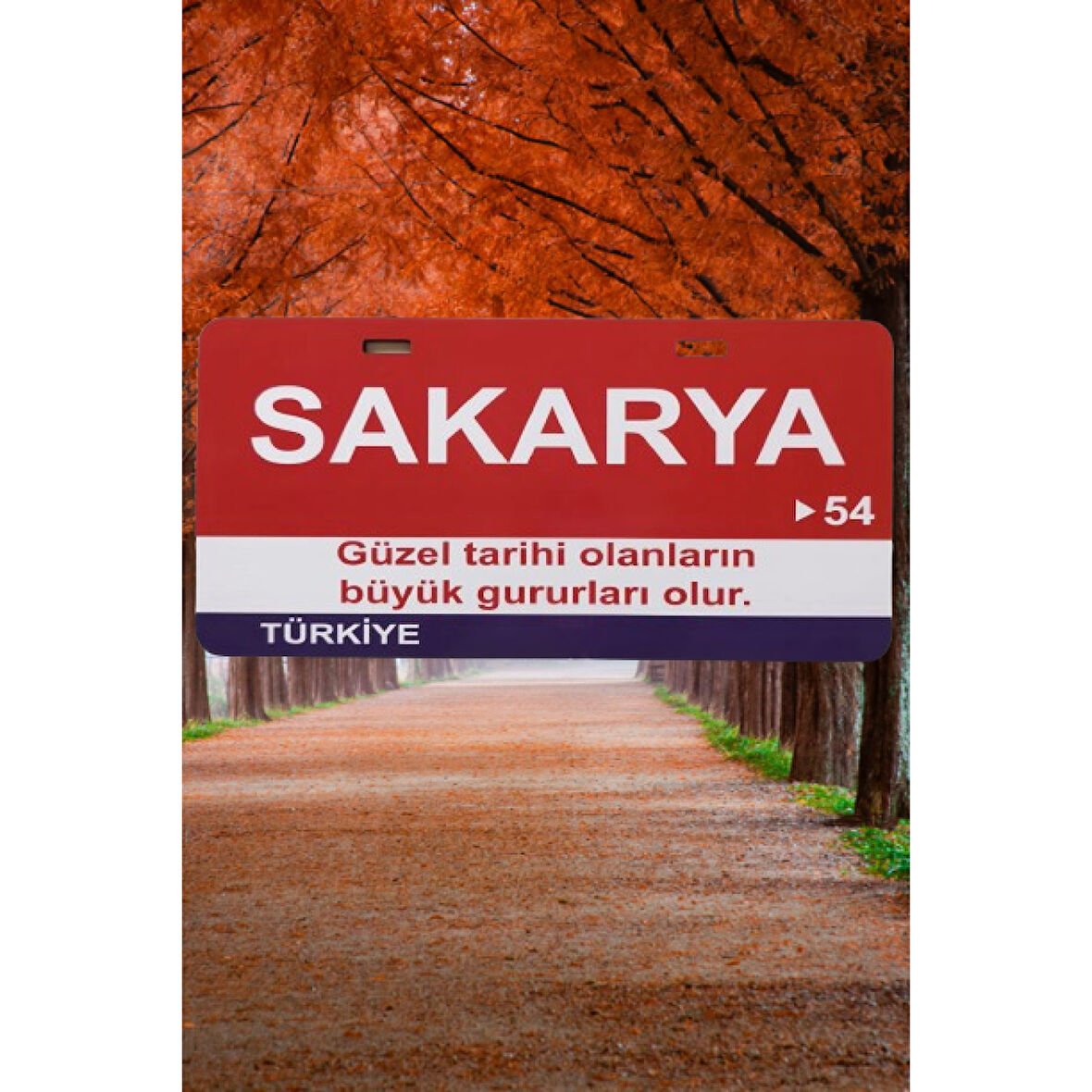 Sakarya Şehir Temalı Plaka Sök-Tak Pratik yeni nesil