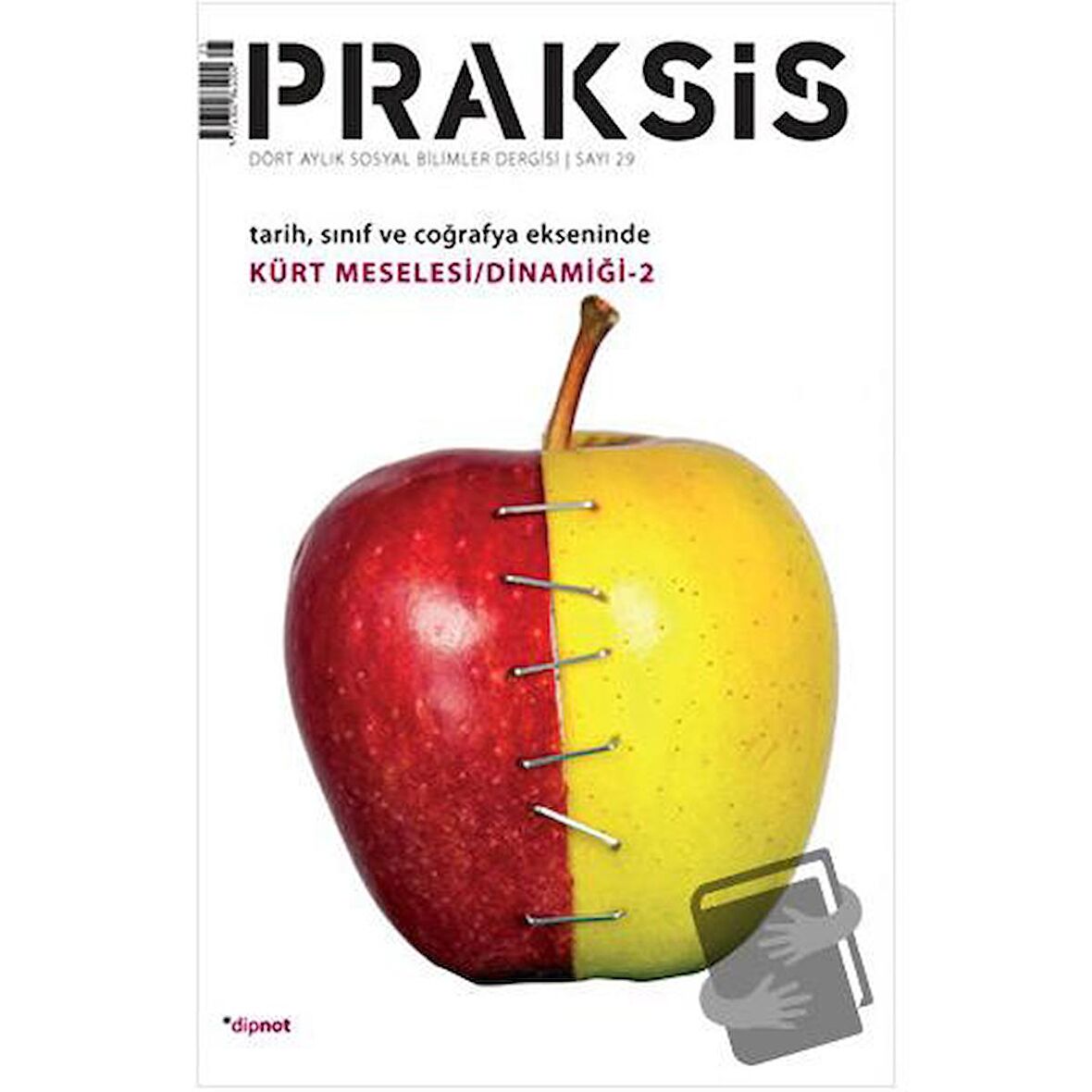 Praksis Sayı: 29