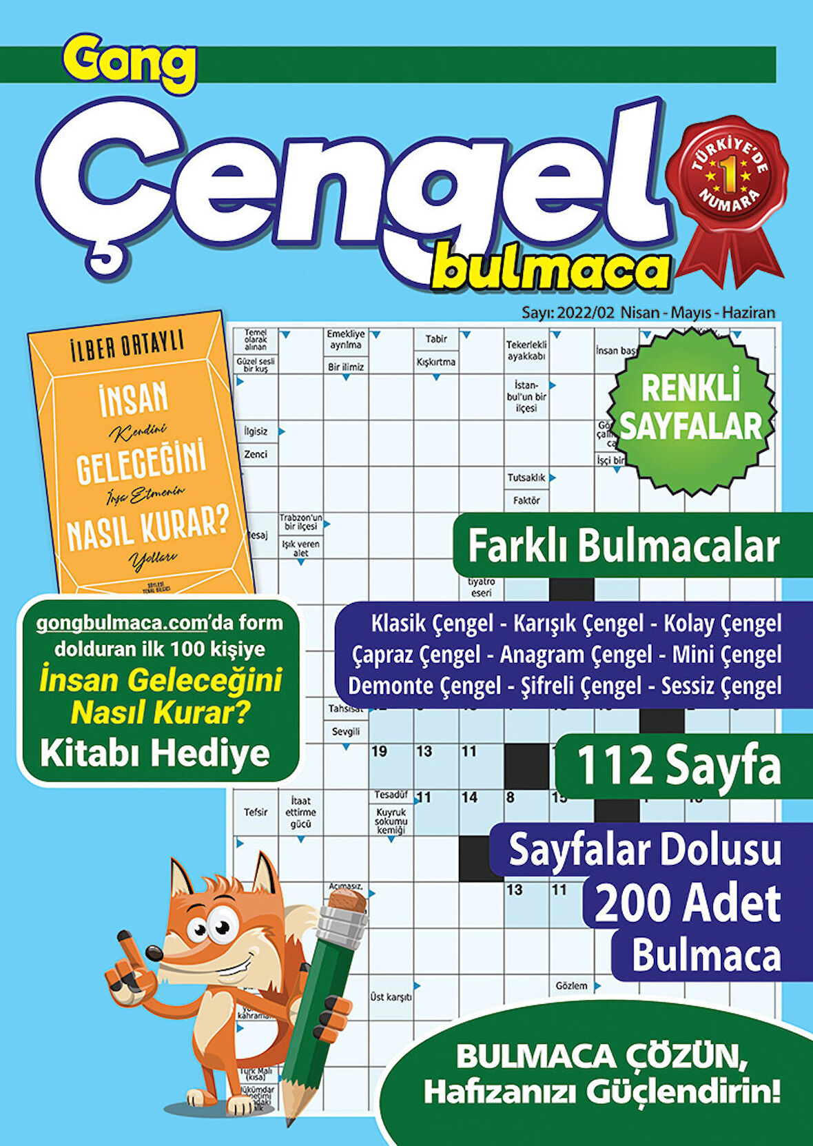 Gong Çengel Bulmaca 010