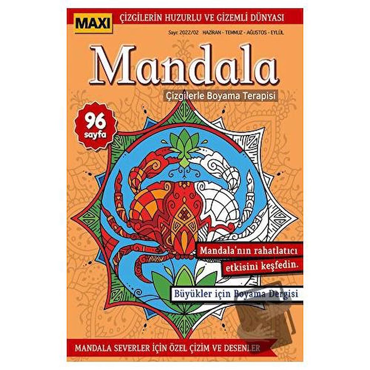 Maxi Mandala Çizgilerle Boyama Terapisi 7
