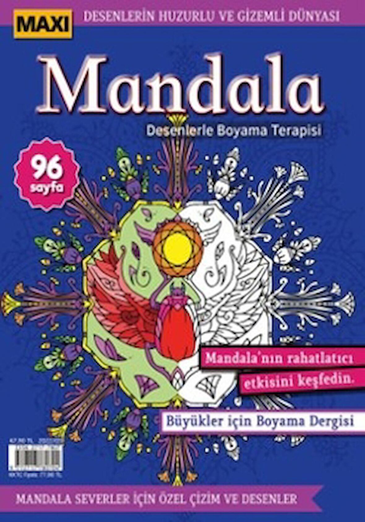 Maxi Mandala Desenlerle Boyama Terapisi 8
