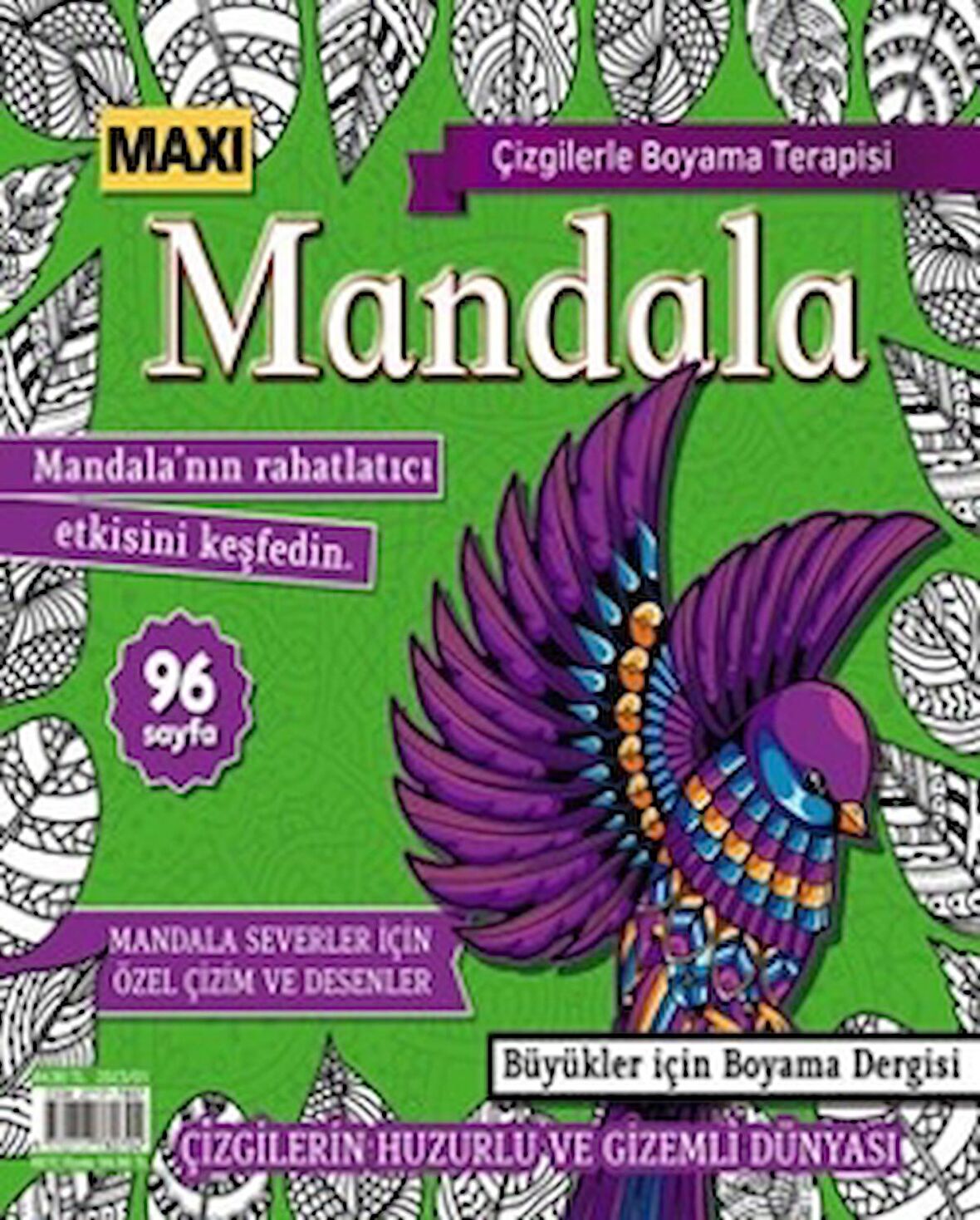 Maxi Mandala Çizgilerle Boyama Terapisi 9