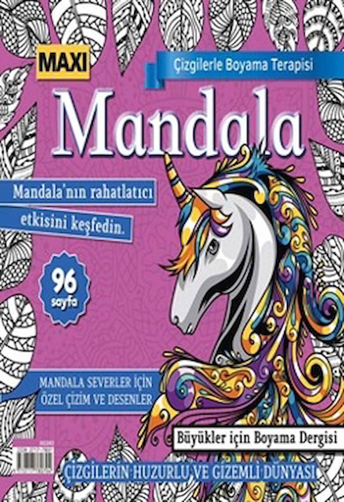 Maxi Mandala Çizgilerle Boyama Terapisi 10