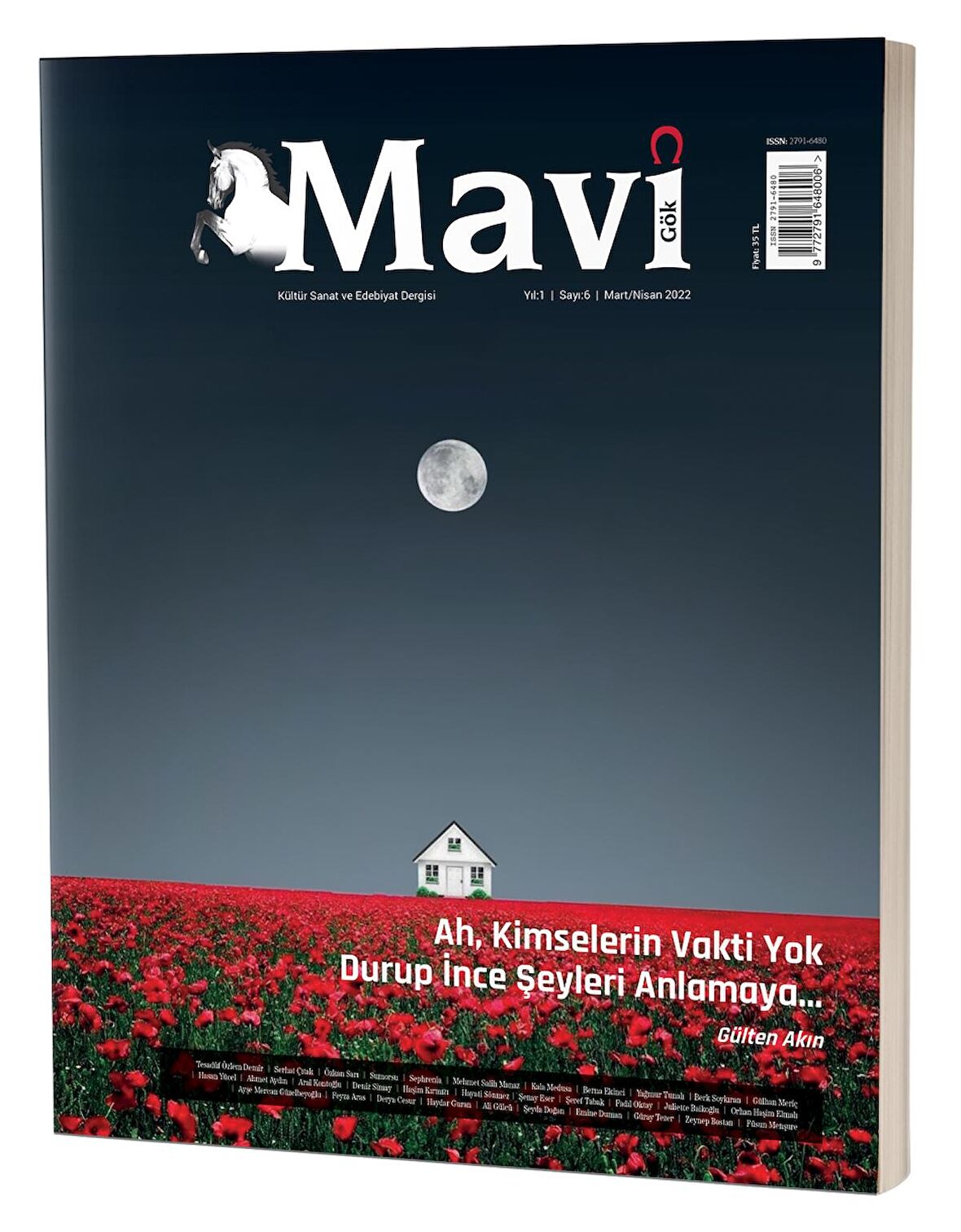 Mavi Gök Kültür Sanat Ve Edebiyat Dergisi Sayı & 6