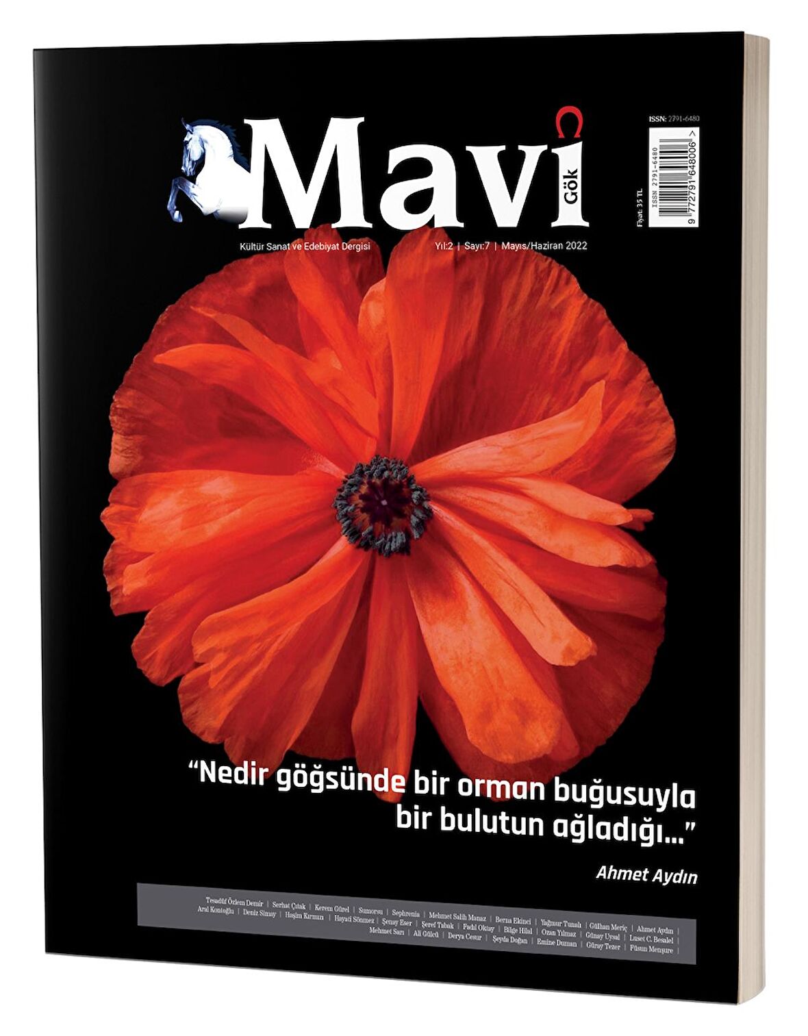 Mavi Gök Kültür Sanat Ve Edebiyat Dergisi Sayı & 7