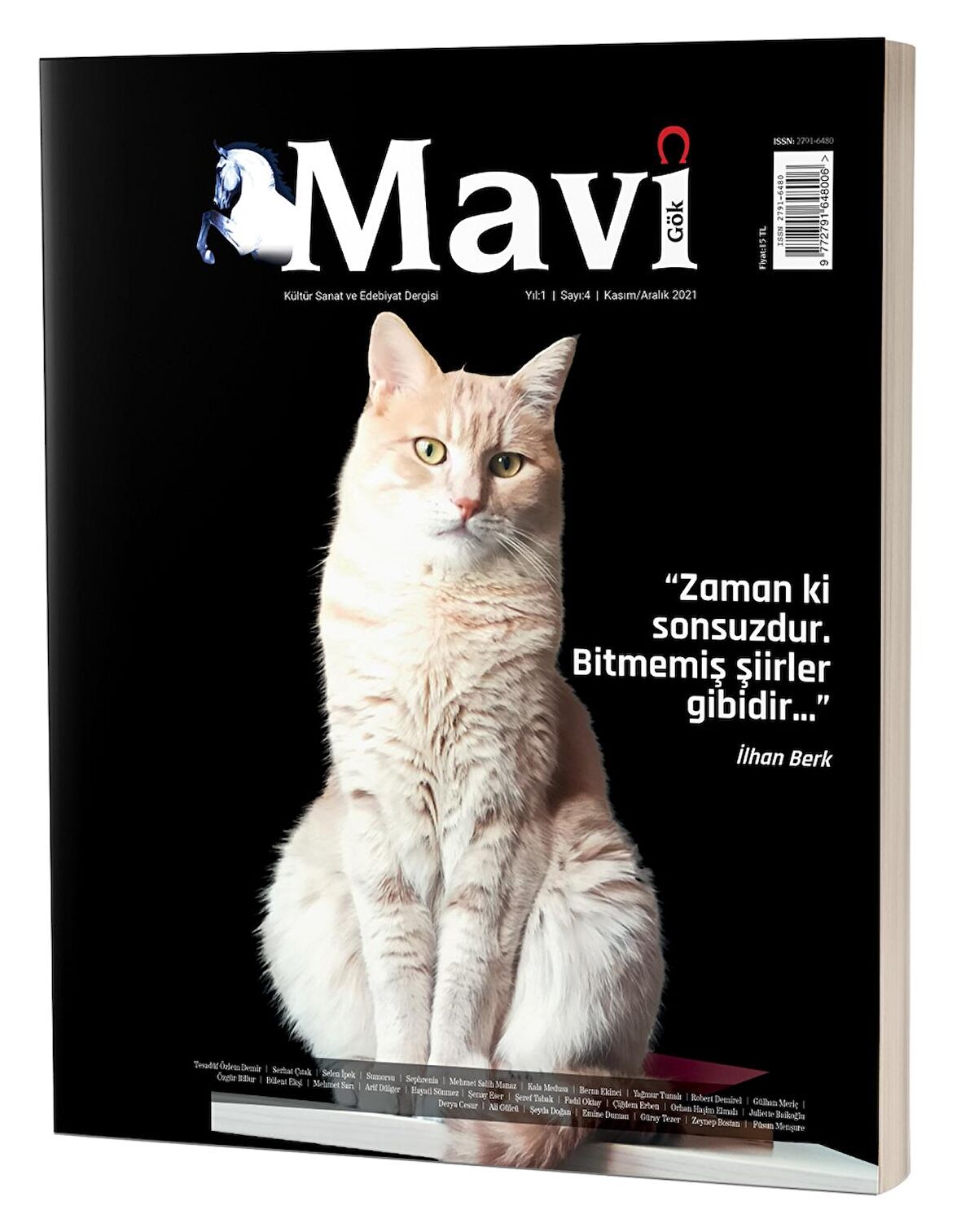 Mavi Gök Kültür Sanat Ve Edebiyat Dergisi Sayı & 4