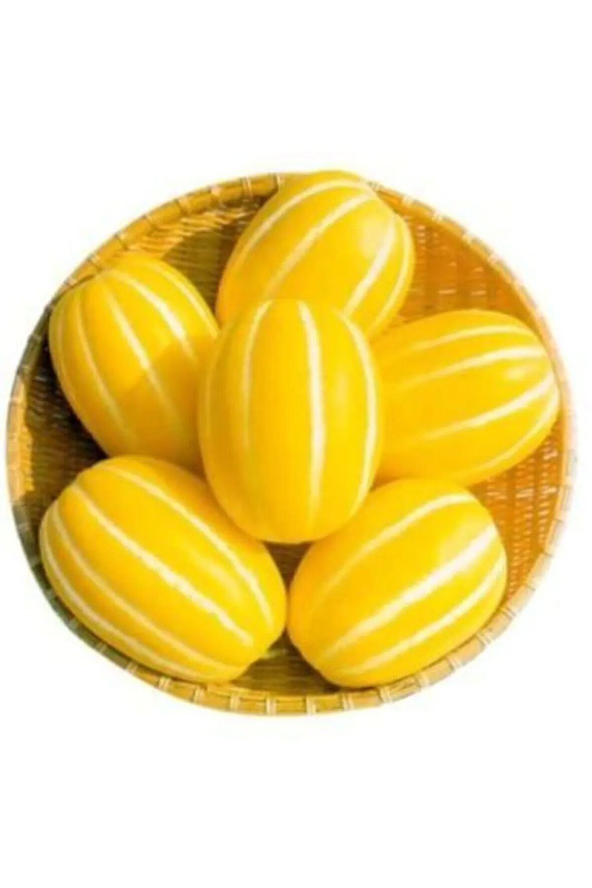 Nadir Kore Kavunu Tohumu Ekim Seti Kavun Tohumu 5 Tohum Saksı Toprak Kombin