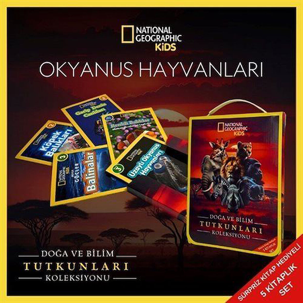 National Geographic Kids / Okyanus Hayvanları Koleksiyonu / Kolektif