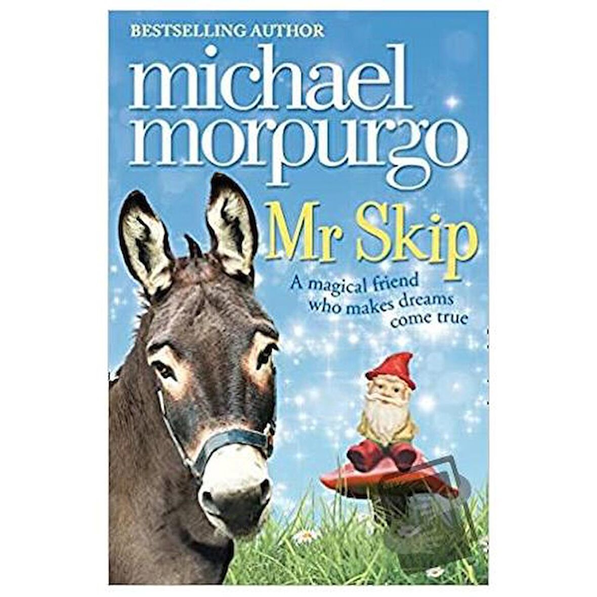 Mr Skip