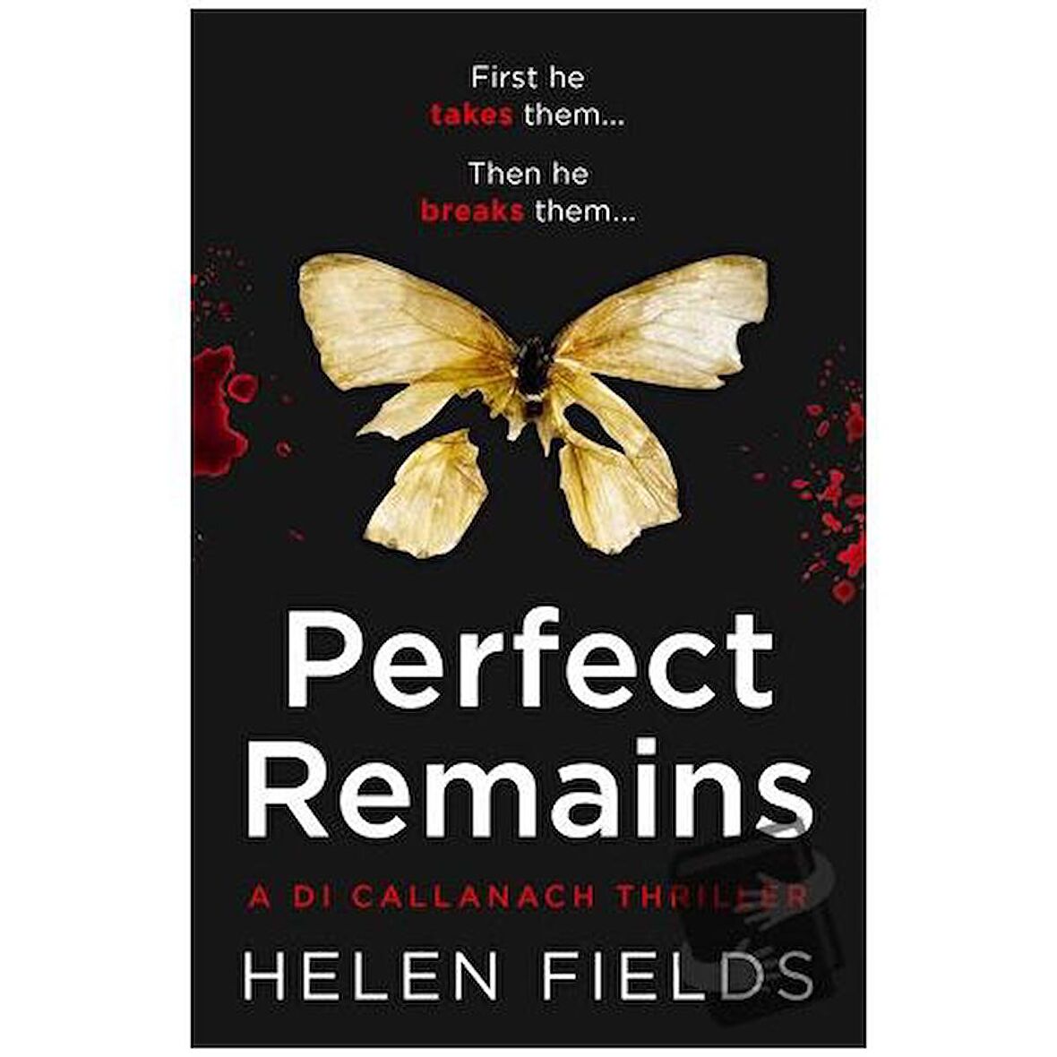 Perfect Remains / HarperCollins / Helen Fields