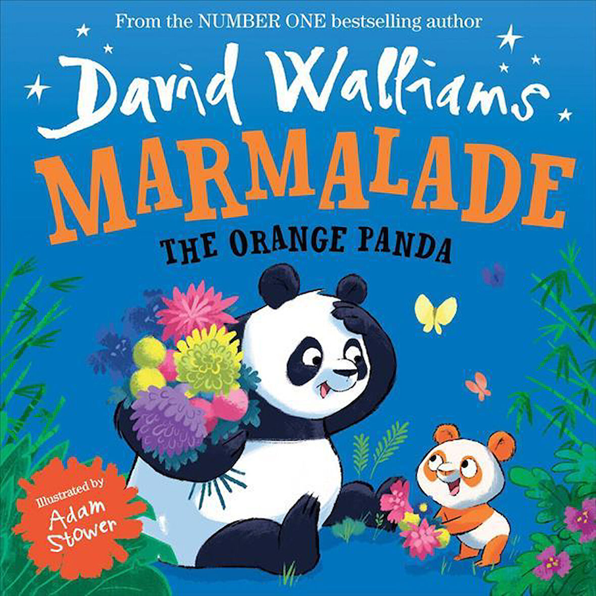 Marmalade, the Orange Panda - David Walliams