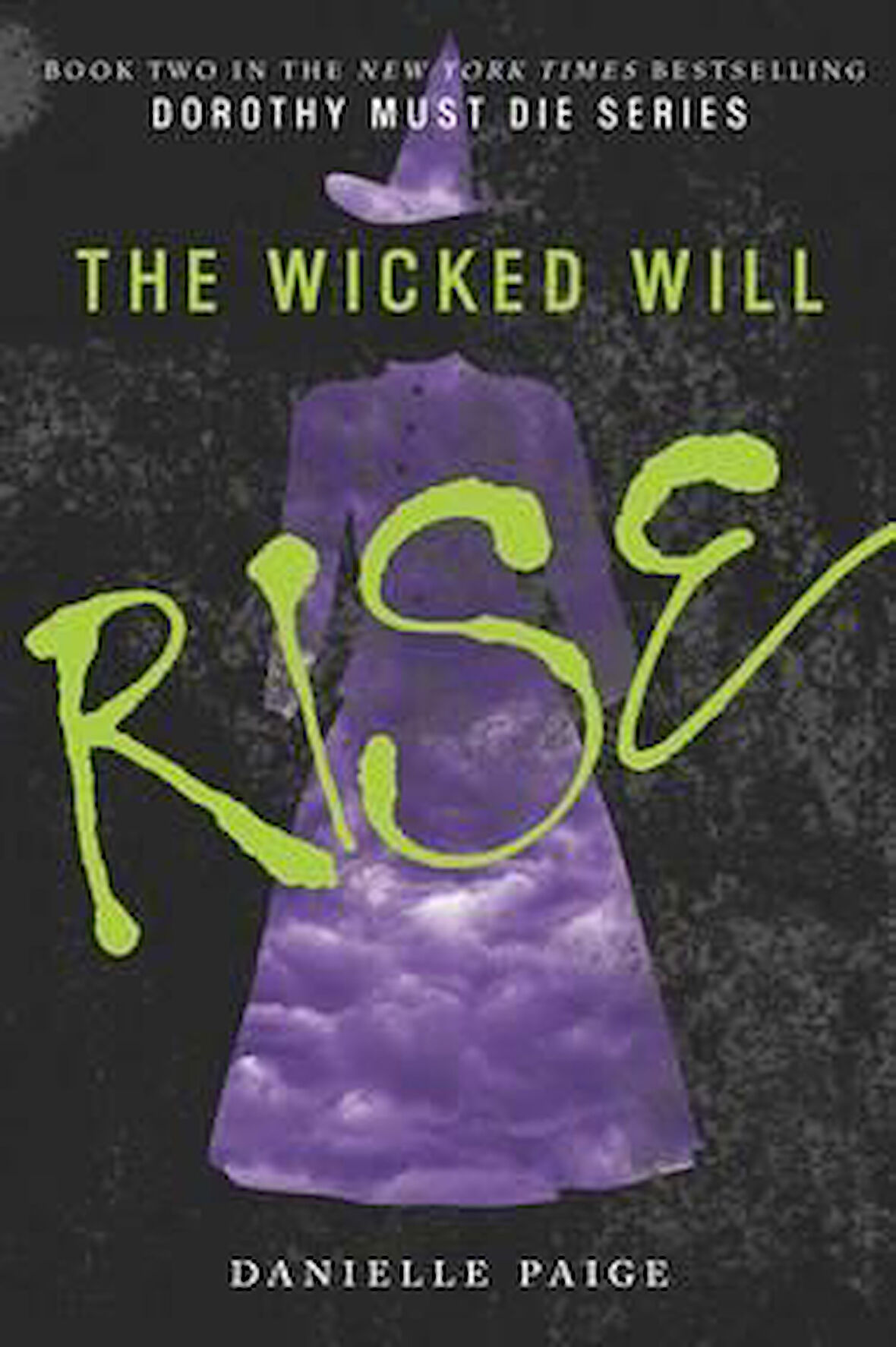 The Wicked Will Rise (Dorothy Must Die 2) - Danielle Paige