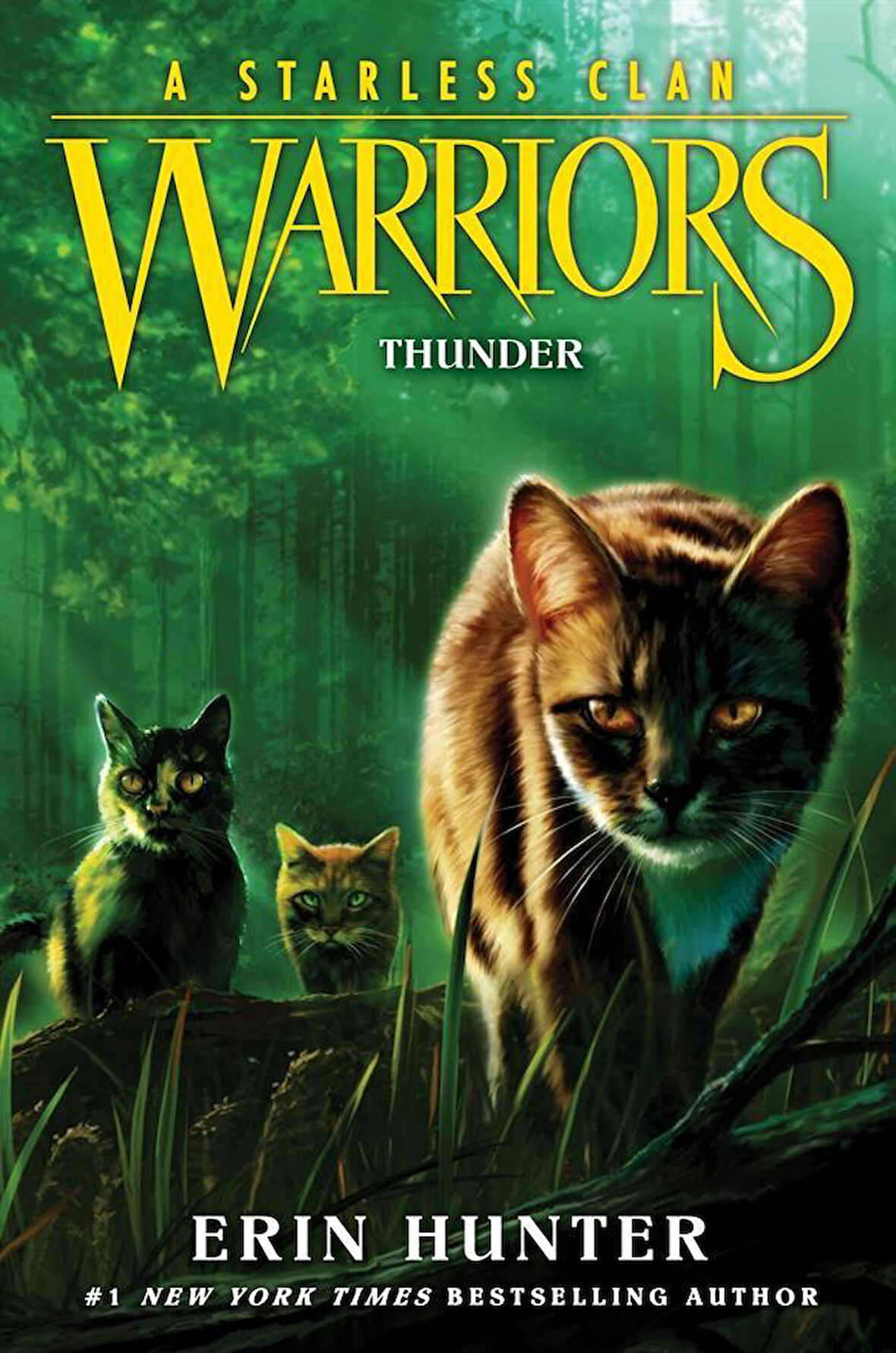 Thunder - Warriors. A Starless Clan - Erin Hunter