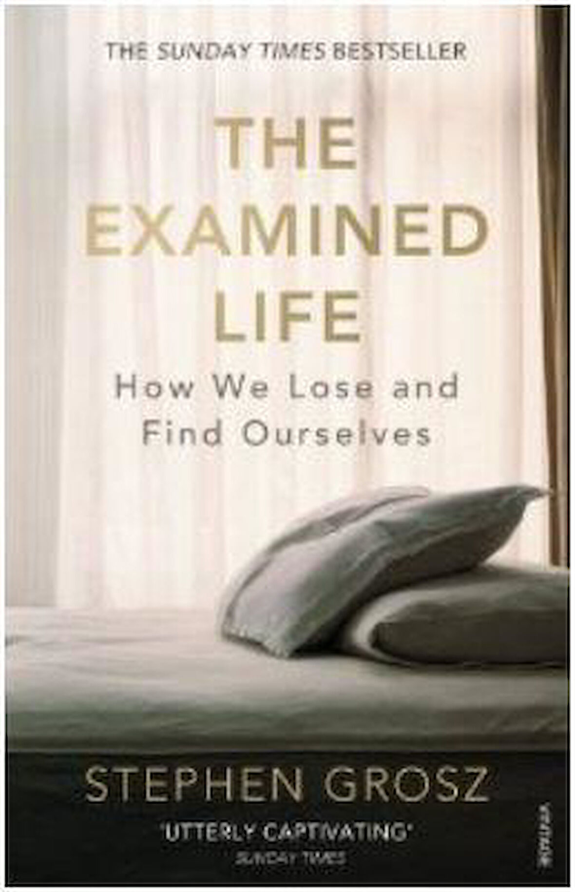 The Examined Life: How We Lose and Find Ourselves - Stephen Grosz