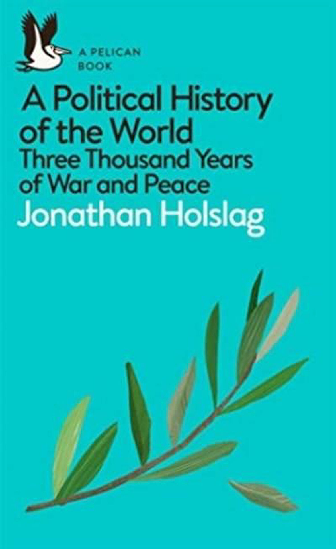 A Political History of the World - Jonathan Holslag