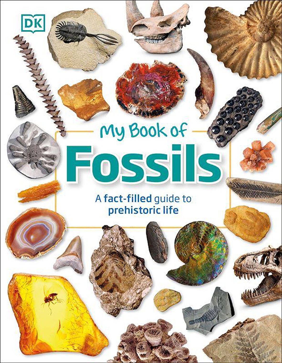 My Book of Fossils - My Book Of - Dean R. Lomax